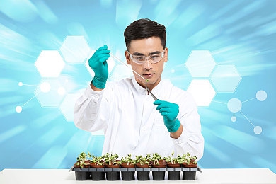 一个人在线www：网络独居者：虚拟世界中的心灵探险之旅