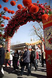 五月丁香六：古墓探险，谜题解密，五月神秘之旅启航-2