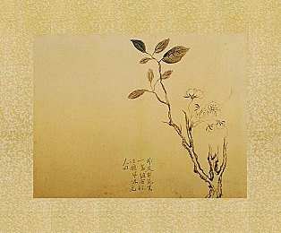 一个在上面一个在下面填40分钟：“空中地心合力，40分钟见证极限挑战传奇”-3