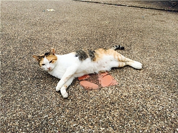 老中医破了三个处：中医奇才李老妙手回春，成功治愈三例疑难杂症，展现中医魅力