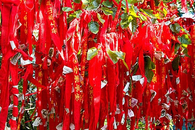 口述为升职请行长到家吃饭的过程：游戏编辑巧请行长家宴，餐桌之上赢得升职机会-2