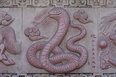 天堂中文在线资源：文化盛宴，阅读无界，畅游数字天地