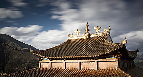 打朴课网站：在线学堂新潮流，个性化学习任你游-2