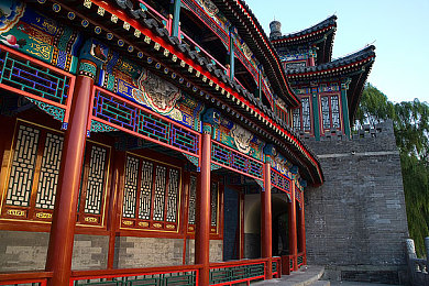 乌克兰 摘花 娇小自由：欧洲花海探秘之旅，体验乌克兰自然风情-3
