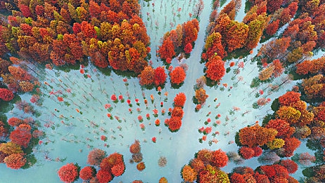 我的世界jenny动画原版网站：奇幻世界揭秘：探秘《我的世界》Jenny动画，视觉盛宴即将开启-4