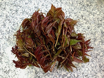 26分钟呼啦圈原版视频：挑战极限，旋转跳跃：呼啦圈游戏《圈圈乐》畅玩攻略与体验分享-3