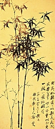 AI裸体  喷水：科技伦理争议：裸体喷水AI软件走红，隐私边界在哪里？-4