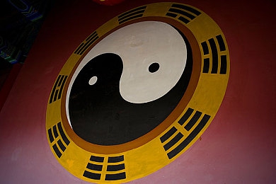 胡桃奖励旅行者吃胡萝卜：胡萝卜换胡桃，健康之旅乐无边-3