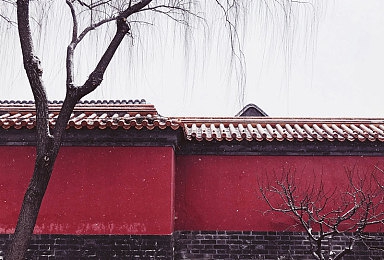 精品人妻一区二区三区日产乱码卜：探秘游戏魅力：人妻角色如何打造沉浸式游戏体验-3