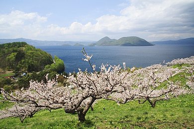 男生和女生一起差差差的App：性别无界，趣味互动，爱情火花，共筑美好旅程-2