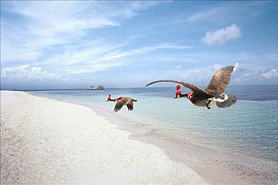 成人入口：奇幻成人冒险之旅：解锁神秘世界，开启奇幻探险之旅-4